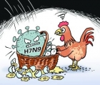 H7N9���������ӣ��ЙC(j��)�������������