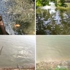 �~�� �r�������������Ȼ�D������--�齭�Oُ