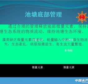 ��PPT�������_���~���B�����Bֳ��2��---�����x