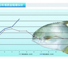 ���K���~�r��Ҋ���q��Ͷ��������������ˮ�a(ch��n)ǰ�ء�2019��5�¿��Ј�څ��