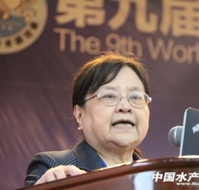 �ھŌ��rз��֮����Ѫ�Ի���֮���x���؅��c�T���r��Ը����ى����Y--�_��