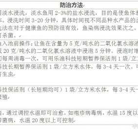 �~���\�Ό��ձ��������Д��~���Y��Լ����O�t��