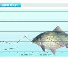 �a�~��Ҏ(gu��)�������r�R��������ˮ�a(ch��n)ǰ�ء�2019��5�¿��Ј�څ��