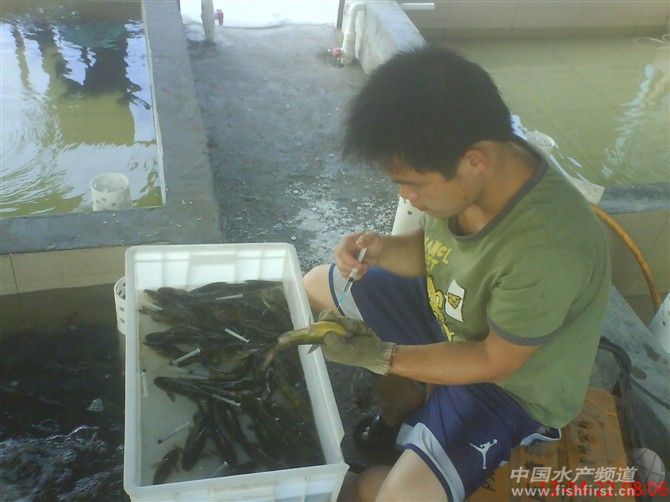 ���ڴ�߮a�