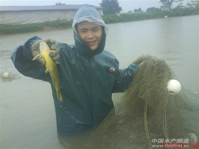 �������S��~Ŷ