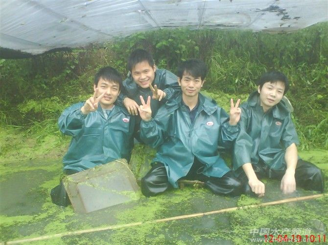 1、2、3,茄子 1、2、3,茄子