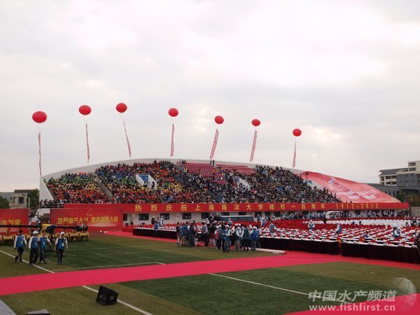 PB031780.JPG