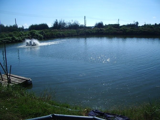 ��ˮʯ���~