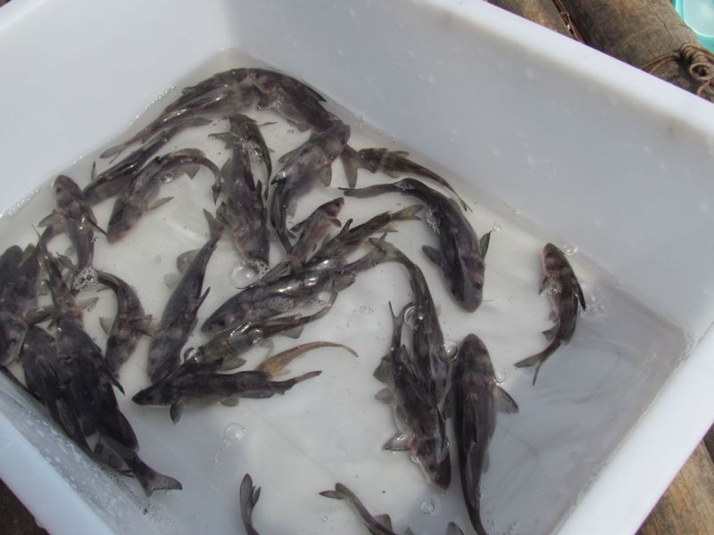 �L���d�����F��