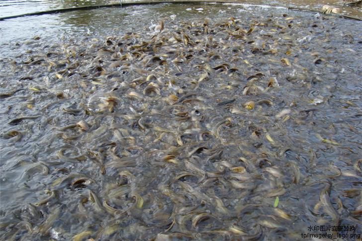 �|�����q�~��