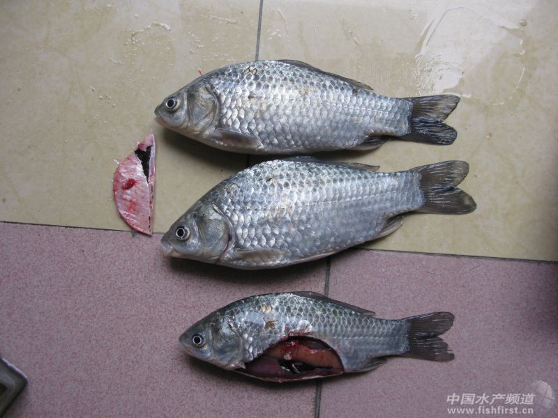 �w������