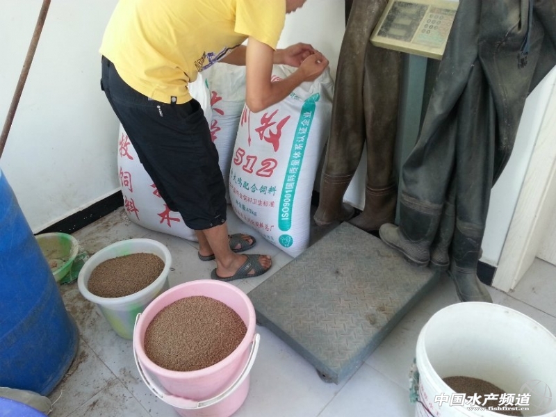 �|���ڵ����