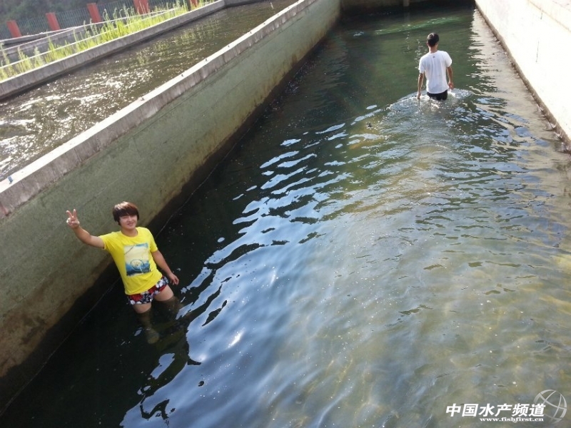 ����ˮ���~