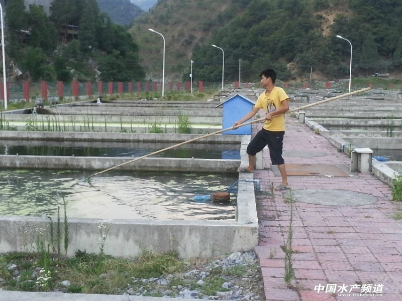 ��������İ׼��~