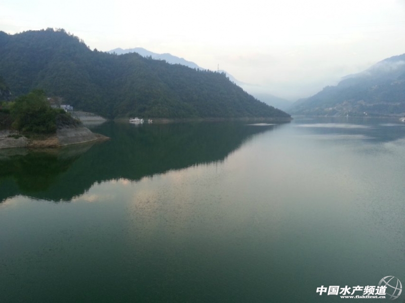 ������ɫ