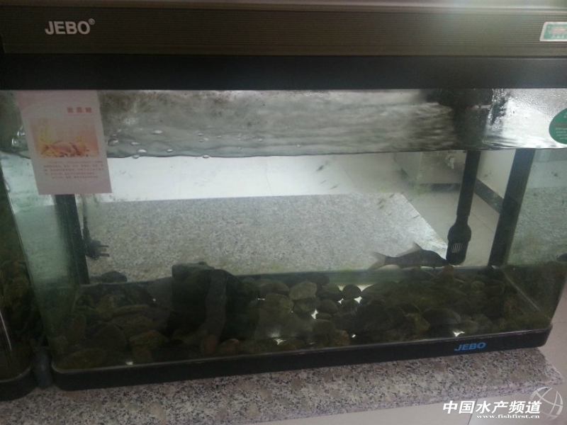 ���ĵĎrԭ��