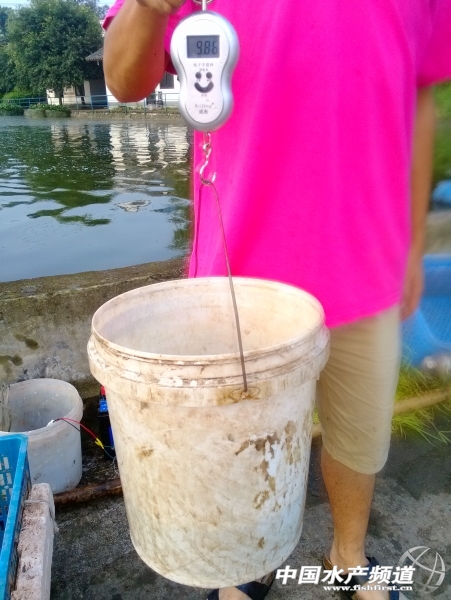 �Bֳ���u�~�������ӣ����D��ϵ����