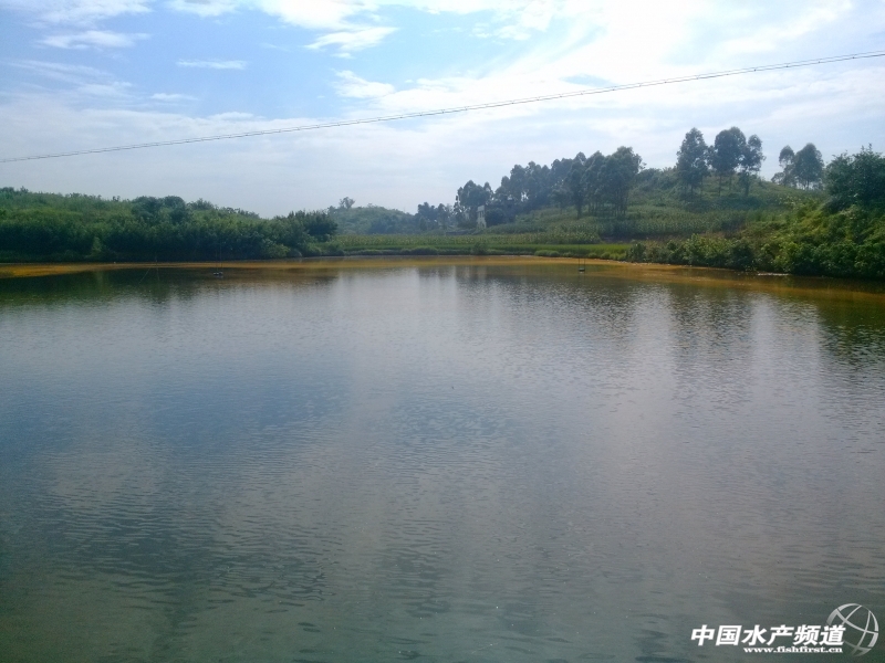 �L�����h����ô����