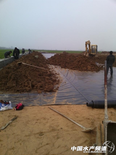 1419506439150.jpeg 1419506439150.jpeg