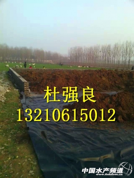QQ圖片20150129080250.jpg QQ圖片20150129080250.jpg