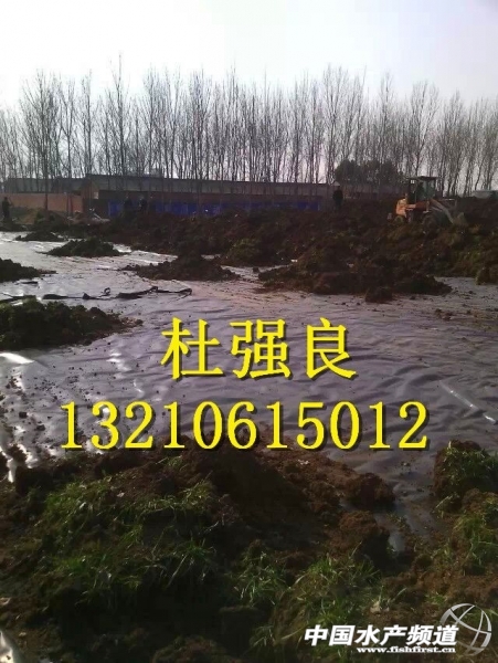 QQ圖片20150129080029.jpg QQ圖片20150129080029.jpg