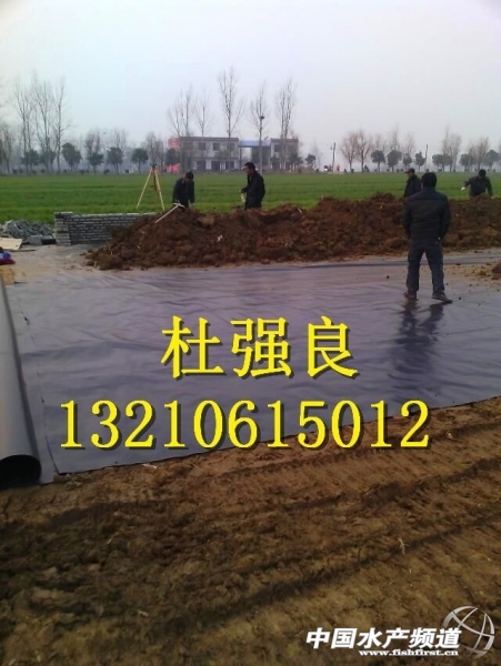 QQ圖片20150129080117.jpg QQ圖片20150129080117.jpg