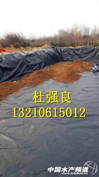 QQ圖片20150129080528.jpg QQ圖片20150129080528.jpg