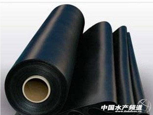 2011.9.27_16.38.27_5140 - ���� - ����.jpg