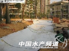 965504s - ����.jpg