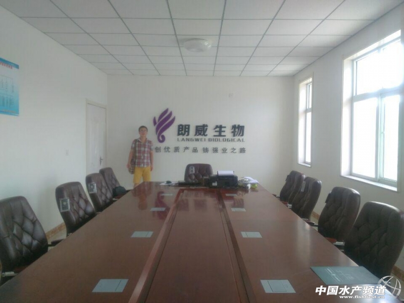 ��˾���h��