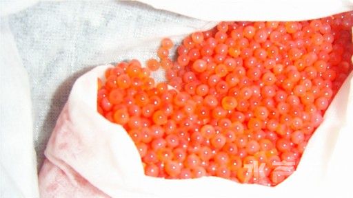 �M�������~�l����