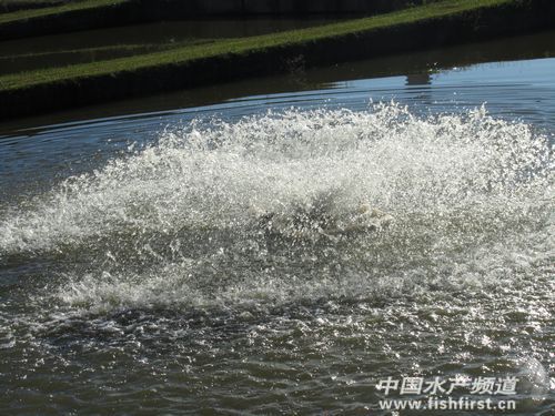 12030609378bcda073b43d3a48.jpg