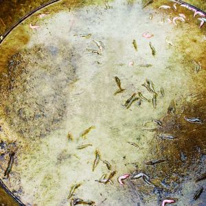 ��(du��)�r����  ��Ű���꣬��(gu��)����ο�����