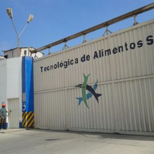 ���_�����~����I���漆