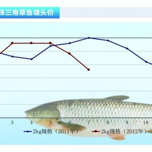 ���~���~�r�µ� �B(y��ng)ֳ�����~��Ը��������2012��8�¿��Ј�څ��