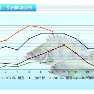 �Z�~�����~�������� ���Ѓr(ji��)���ϝq��������2012��8�¿��Ј�(ch��ng)څ��(sh��)