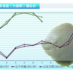 �����~���~�r�����н� ���h�B���m�r���~����2012��8�¿��Ј�څ��