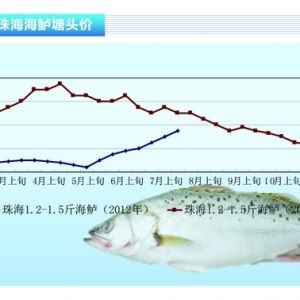 ���|�����~���u�p �~�r(ji��)�ٴ��ϝq����2012��8�¿��Ј�(ch��ng)څ��(sh��)