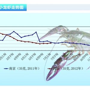 С���r���r(ji��)����� �N�۝u��β����2012��8�¿��Ј�(ch��ng)څ��(sh��)