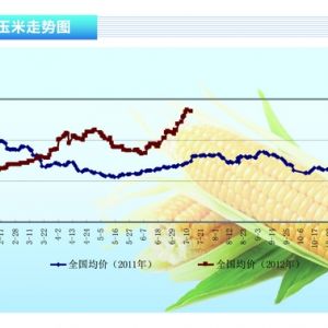 ���ף��M�����׵������ȴ�����؛ ���Ƈ���(n��i)���׃r�񡪡�2012��8�¿��Ј�څ��