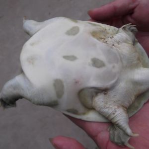 �\�����~�׵װ岡