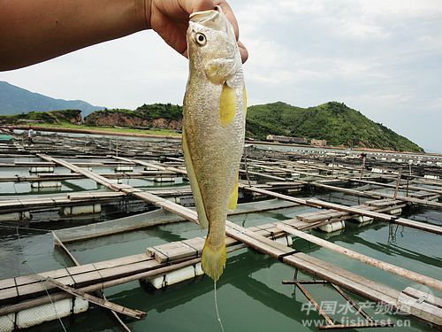 ���S�~֮��