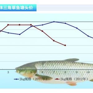 ���~���~�����~�� �~�r�µ�������ˮ�a(ch��n)ǰ�ء�2012��9�¿��Ј�څ��