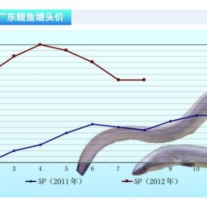 ���~�����r�S��(w��n) �����Ծoȱ������ˮ�a(ch��n)ǰ�ء�2012��9�¿��Ј�څ��