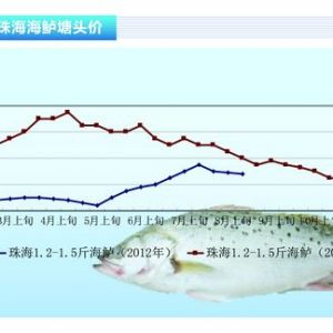 ���|���f�~���~�R���� ���Љ�����