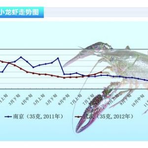 С���r���r�����ϝq ����_ʼ�x�N������ˮ�a(ch��n)ǰ�ء�2012��9�¿��Ј�څ��