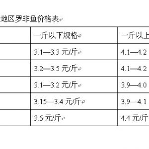 8��27--31���_���~�܈�