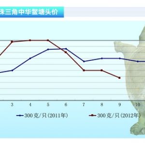 ���~�����M�I�ĺ����򌢁��R������ˮ�aǰ�ء�2012��10�¿��Ј�څ��