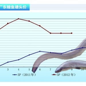 ���~������Ӱ� 혵��B�������B���~������ˮ�aǰ�ء�2012��10�¿��Ј�څ��