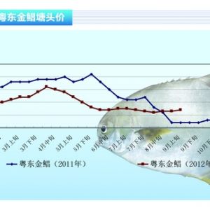 ���K������ӆ�Μp�� ���в��ݘ��^������ˮ�aǰ�ء�2012��10�¿��Ј�څ��